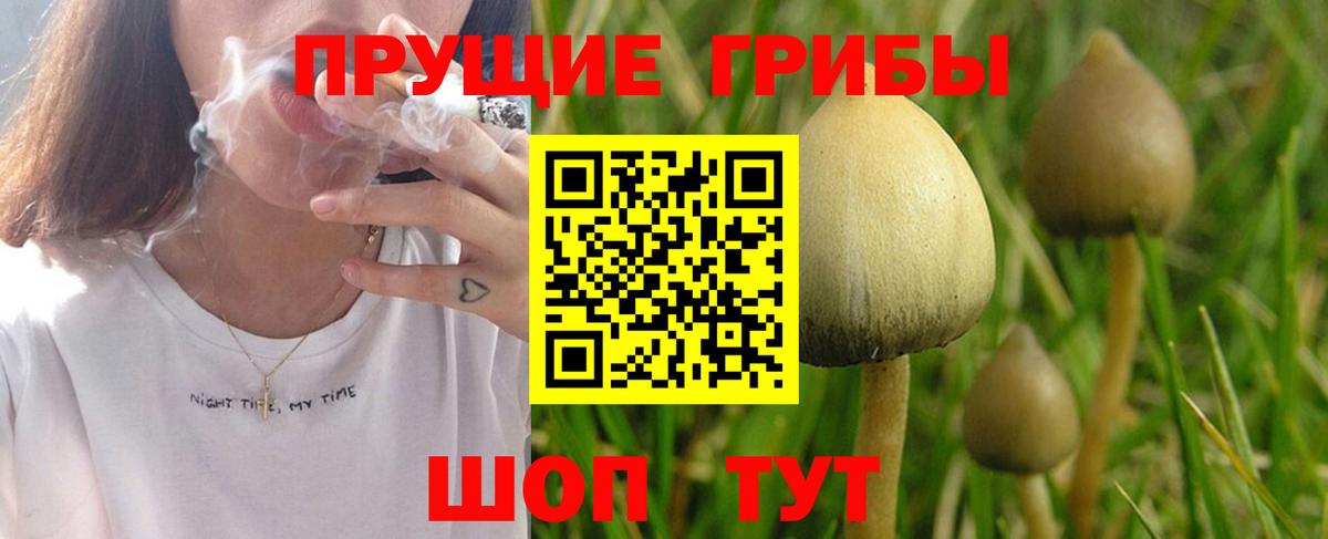 Галлюциногенные грибы MAGIC MUSHROOMS  Вход с VPN  Димитровград 